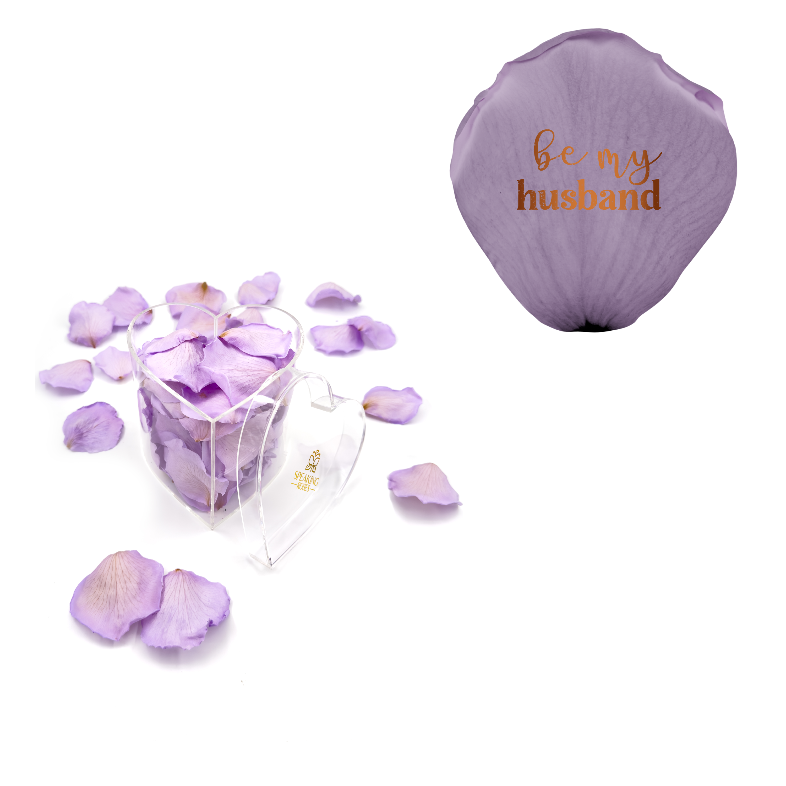 Be my husband - Heart Acrylic Box (100 Preserved Petals)