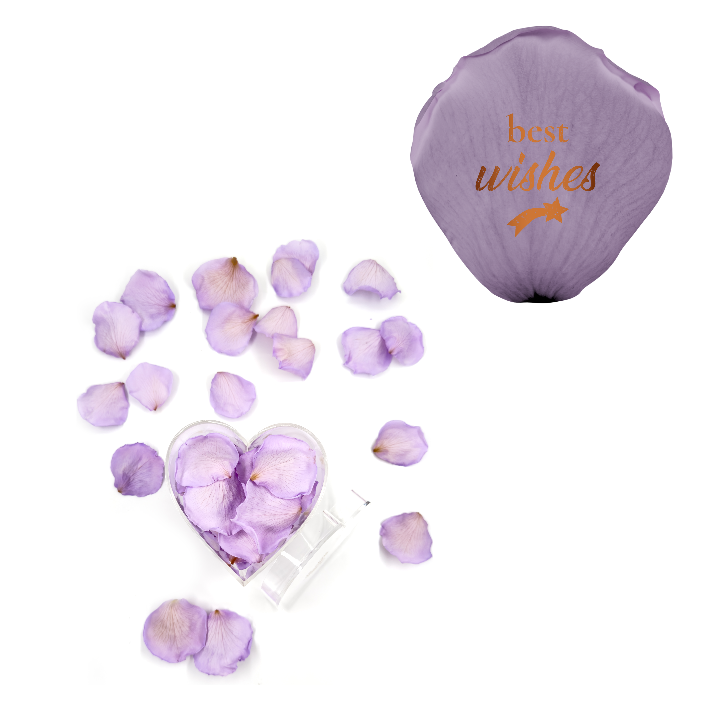 Best wishes! - Heart Acrylic Box (100 Preserved Petals)