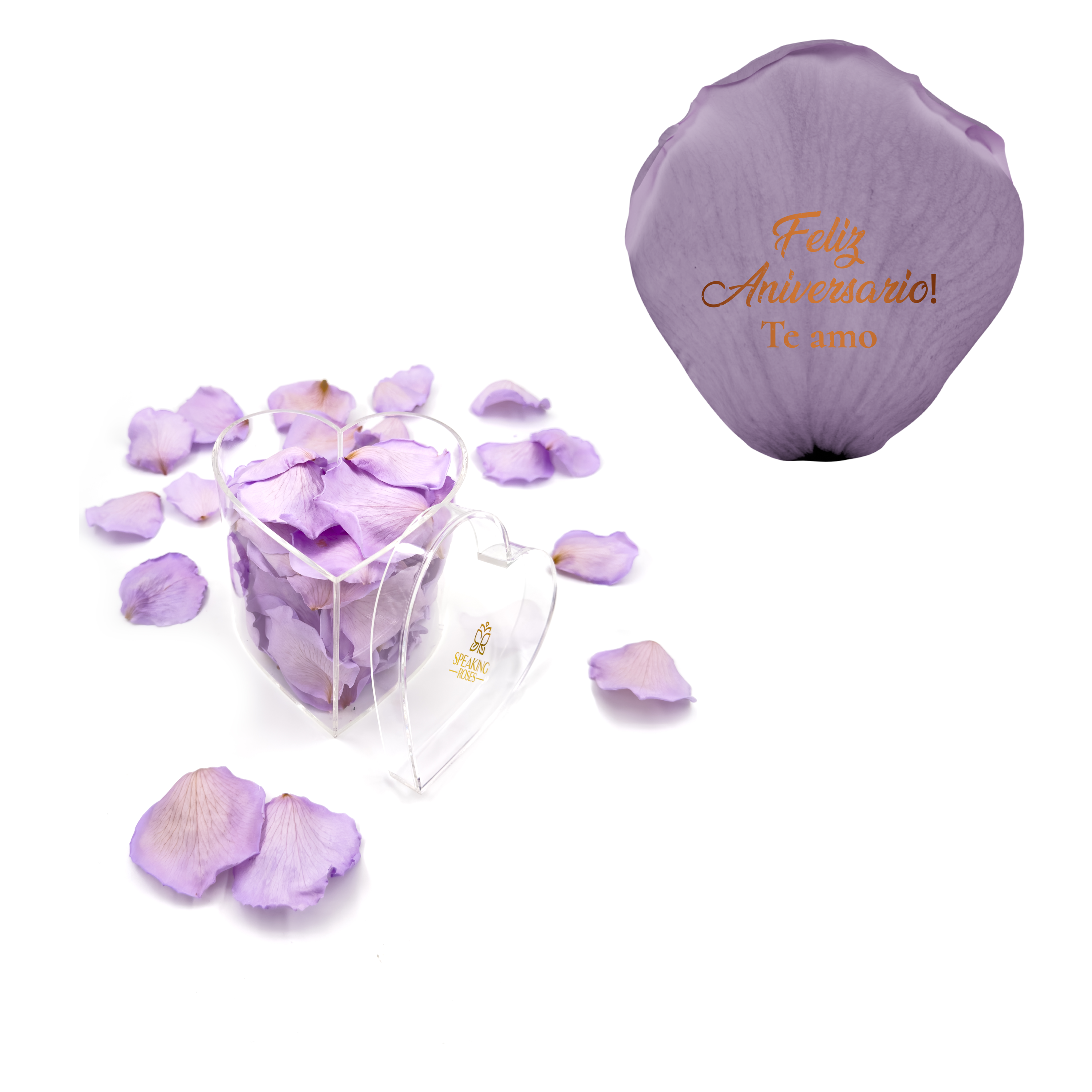 Feliz aniversario! Te amo - Heart Acrylic Box (100 Preserved Petals)