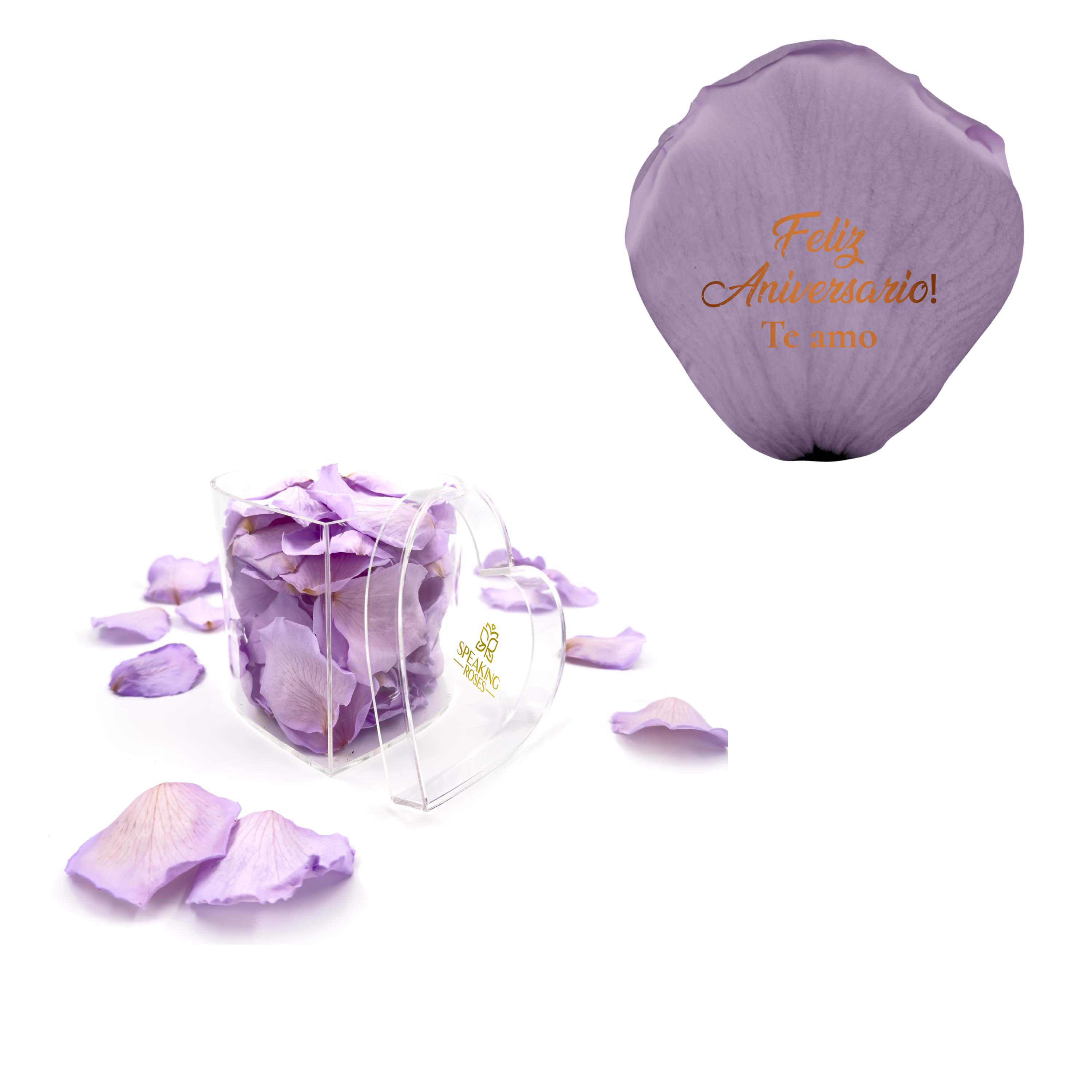 Feliz aniversario! Te amo - Heart Acrylic Box (100 Preserved Petals)