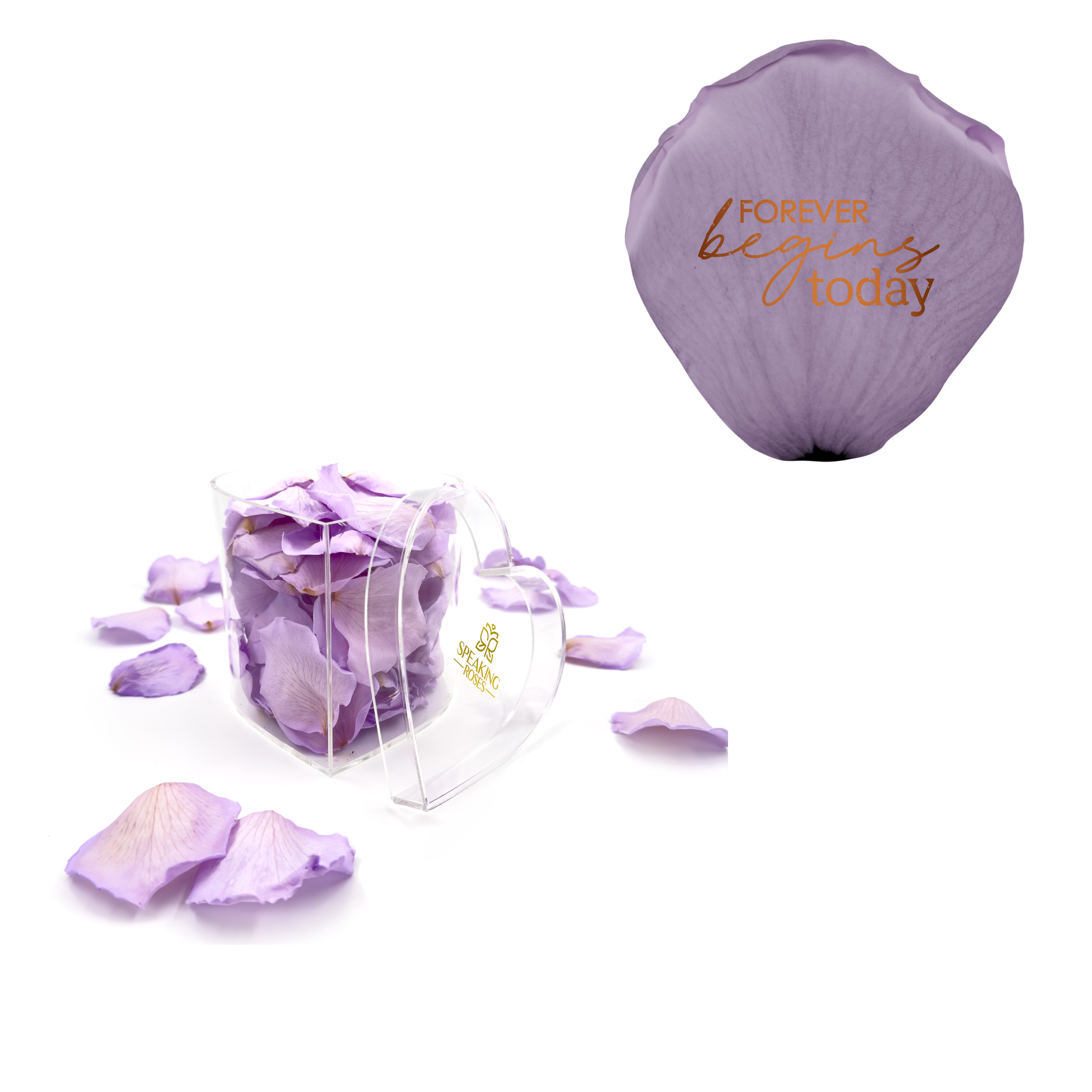 Forever begins today - Heart Acrylic Box (100 Preserved Petals)