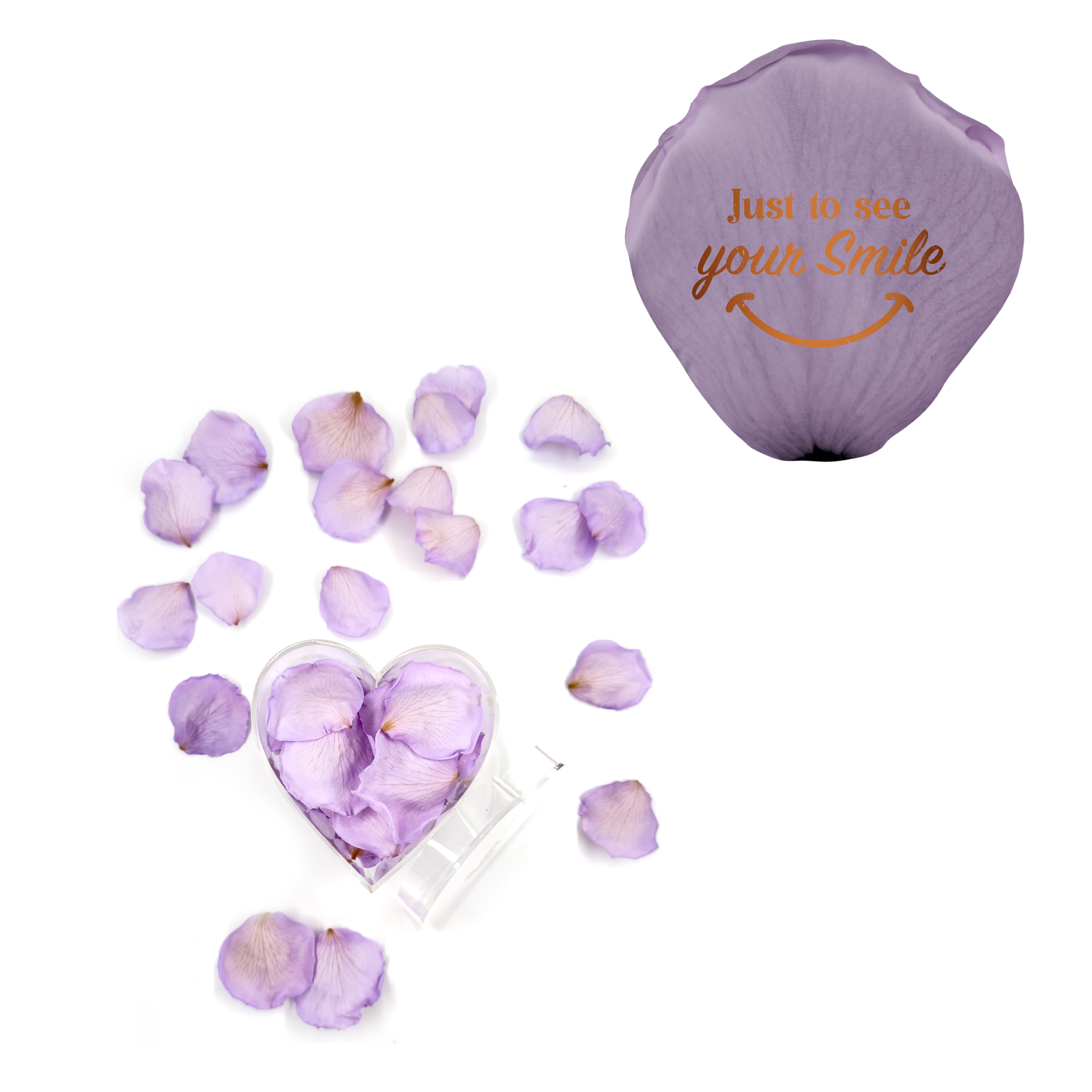 Just to see you smile - Heart Acrylic Box (100 Preserved Petals)