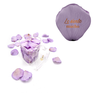 Lo siento mucho - Heart Acrylic Box  (100 Preserved Petals)