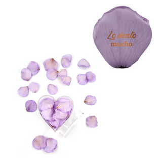 Lo siento mucho - Heart Acrylic Box  (100 Preserved Petals)