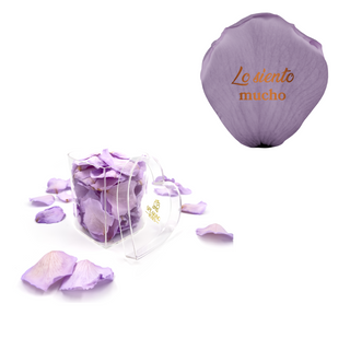 Lo siento mucho - Heart Acrylic Box  (100 Preserved Petals)