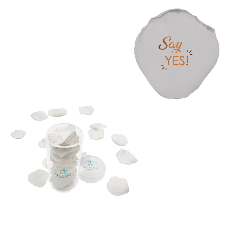 Say yes - Acrylic Round Box (25 Preserved Petals)