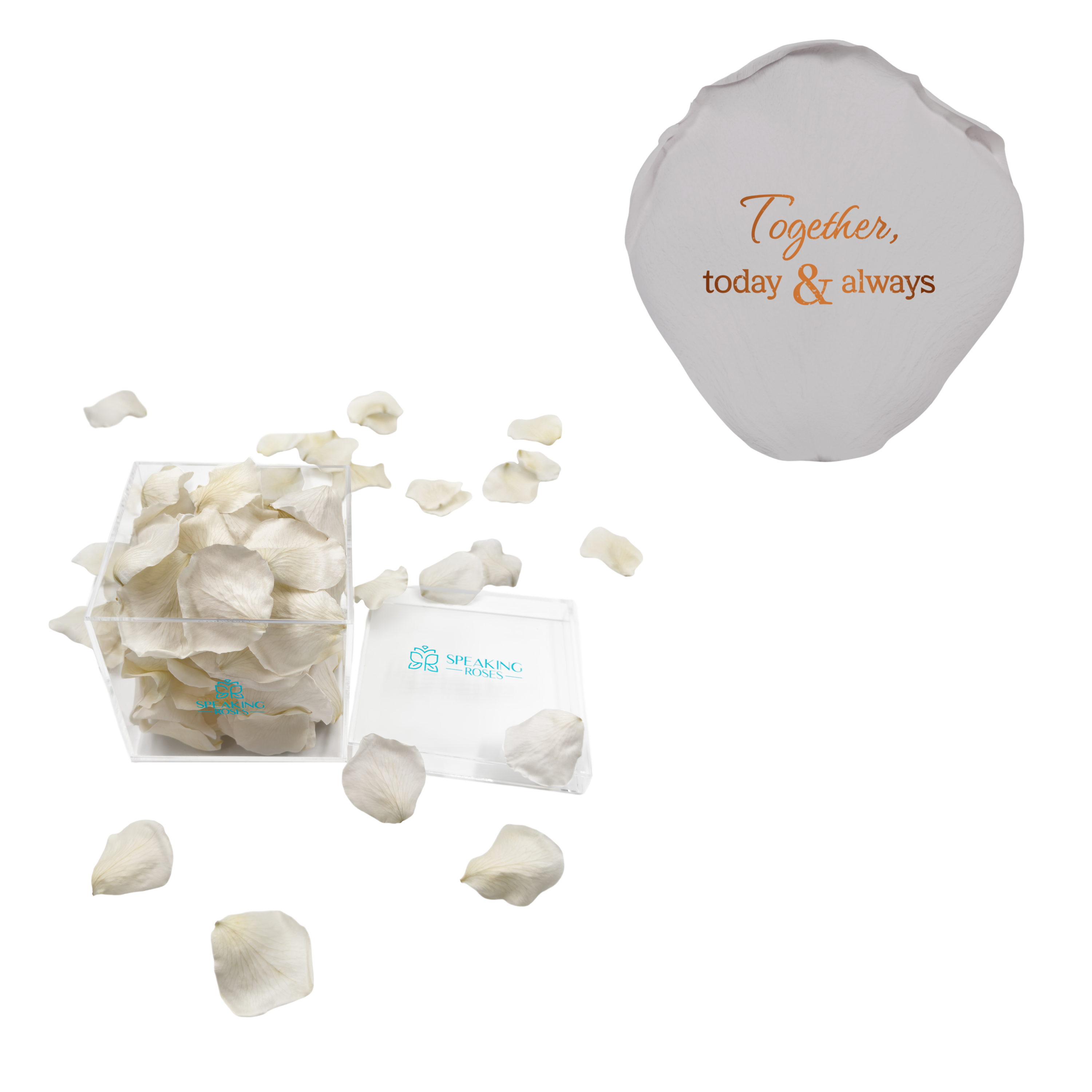 Together, today & always - Acrylic Square Box (150 Preserved Petals)