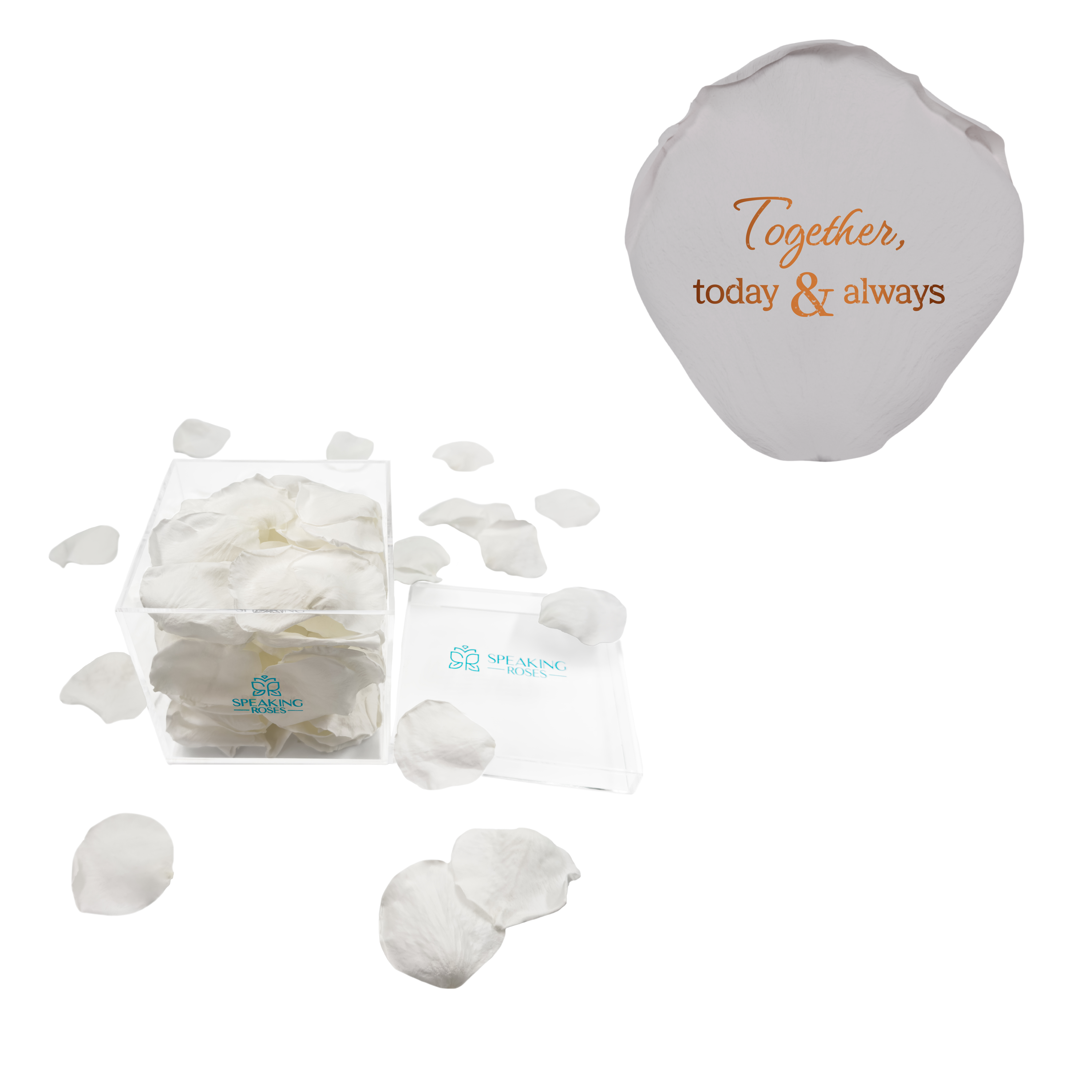 Together, today & always - Acrylic Square Box (150 Preserved Petals)