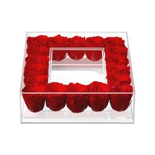 Equoria V18 - Funeral Collection