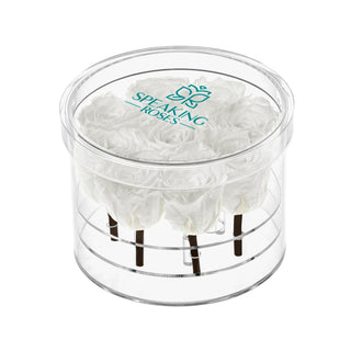 Luxara Nue - Funeral Collection