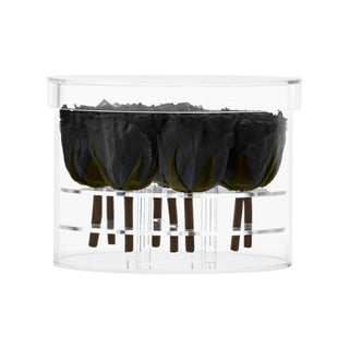 Luxara Nue - Funeral Collection