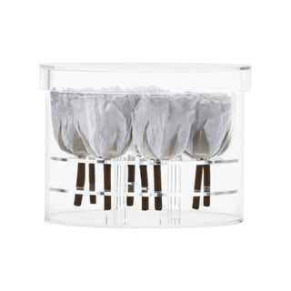 Luxara Nue - Funeral Collection