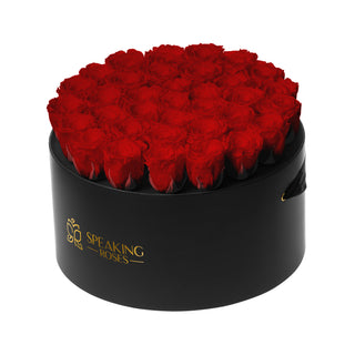 Domora Bloom - Romance Collection