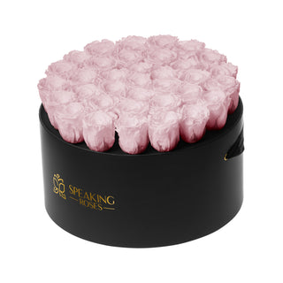 Domora Bloom - Romance Collection