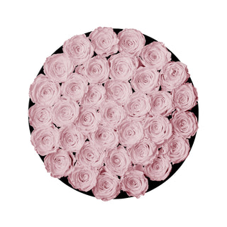 Domora Bloom - Romance Collection