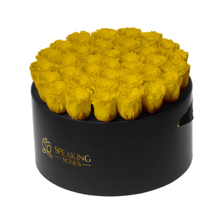 Domora Bloom - Romance Collection