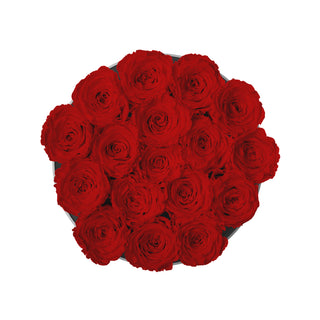 Magnaro Bloom - Romance Collection