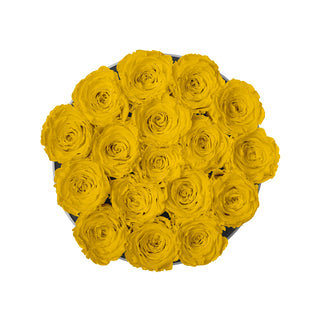 Magnaro Bloom - Romance Collection