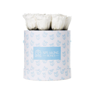 Orvini Bloom - Anniversary Collection