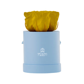 Trivelle Bloom - Romance Collection