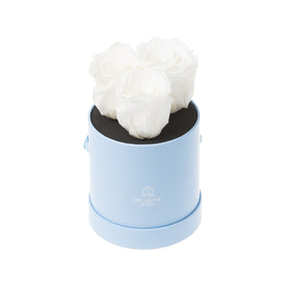 Trivelle Bloom  - Romance Collection