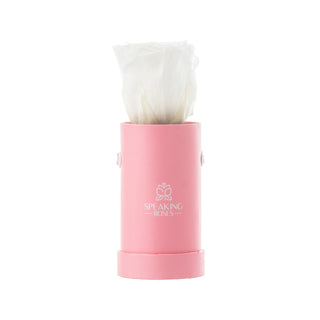 Solo Bloom - Happy Birthday Collection