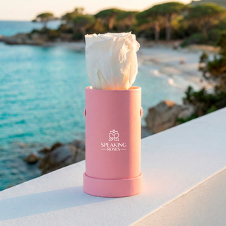 Solo Bloom - Romance Collection