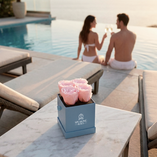 Sovelle OXS  - Valentine's Day Collection