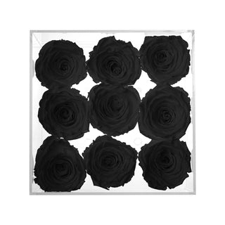 Luxara Nue - Funeral Collection