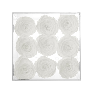 Luxara Nue - Funeral Collection