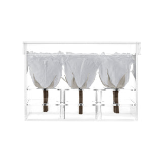 Luxara Nue - Funeral Collection