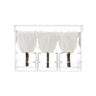 Luxara Nue - Funeral Collection