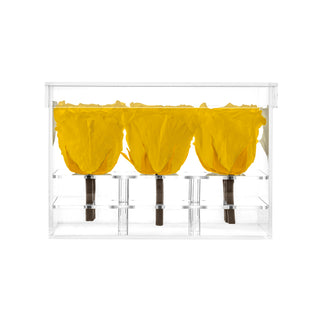 Luxara Nue - Funeral Collection