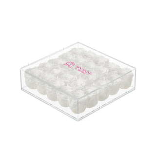 Equoria V25 - Funeral Collection