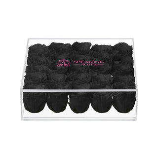 Equoria V25 - Funeral Collection