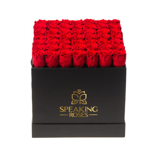 Sovelle LLO  - Romance Collection