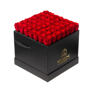 Sovelle LLO  - Wedding Collection