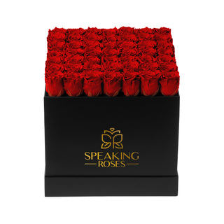 Sovelle LLO  - Funeral Collection