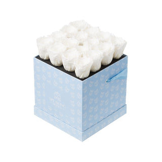 Sovelle OOM - Happy Birthday Collection