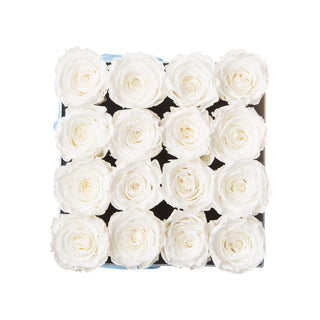 Sovelle OOM - Happy Birthday Collection