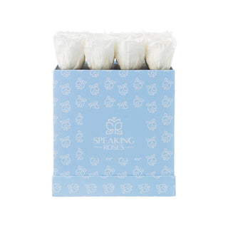 Sovelle OOM - Happy Birthday Collection