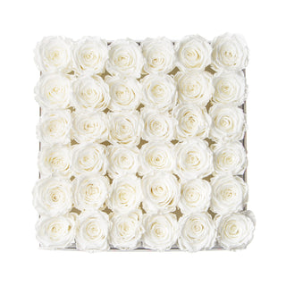 Sovelle MLO  - Anniversary Collection