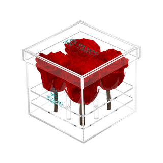 Luxara Cua - Anniversary Collection