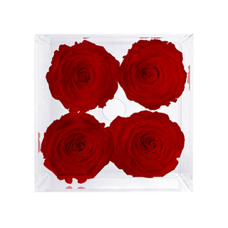 Luxara Cua - Anniversary Collection