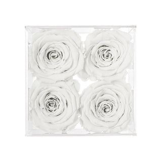 Equoria V04 - Romance Collection