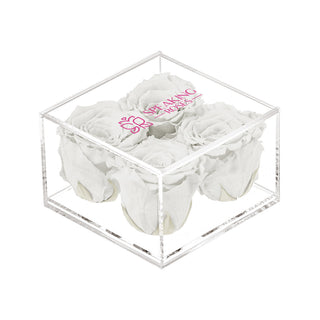 Equoria V04 - Happy Birthday Collection