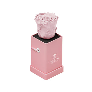 Sovelle XXS  - Valentine's Day Collection