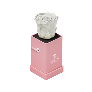 Sovelle XXS  - Valentine's Day Collection