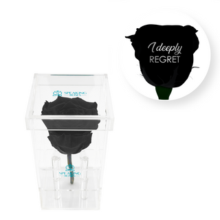 I deeply regret - Square Acrylic Box  (1 Preserved Stem)