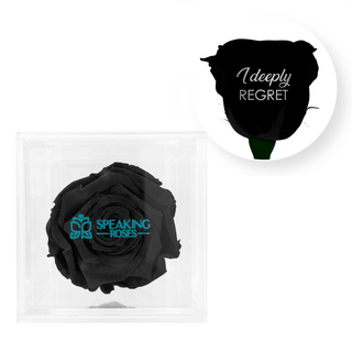 I deeply regret - Square Acrylic Box  (1 Preserved Stem)